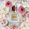 Birkholz Amber Intense EdP 100ml