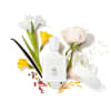 Creed Love in White EdP