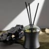 ECLECTIC ALCHEMY DIFFUSER