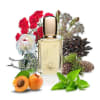 Plume Impression Etat de Grace EDP Nat. Spray Deluxe