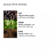 Re-Charge Black Pepper 1 Wick Candle