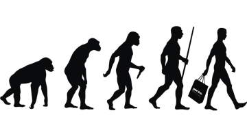 Barberteknikken gennem historien – fra Homo Sapiens til Gents