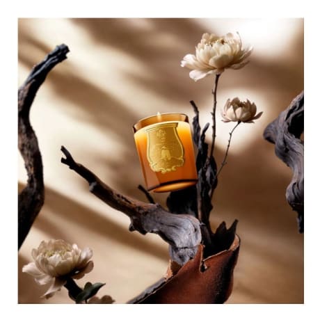 Trudon Doftljus Altair