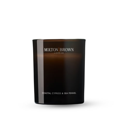 COASTAL CYPRESS & SEA FENNEL 1 WICK CANDLE