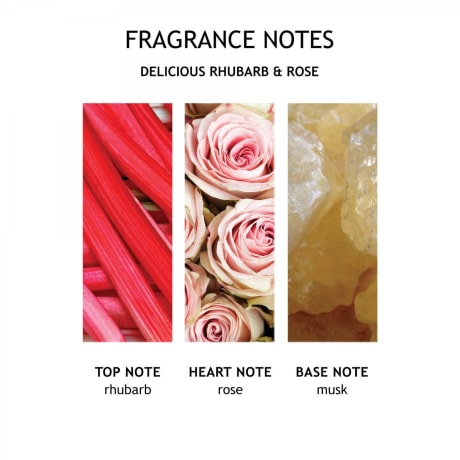 Molton Brown Delicious Rhubarb & Rose Bath & Shower Gel