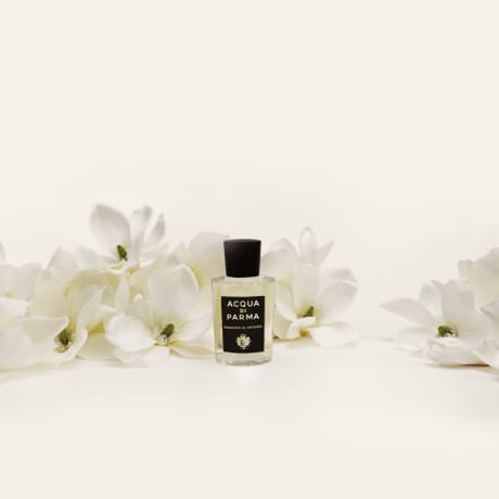 Acqua di Parma Signatures Magnolia Infinita Edp | Gents