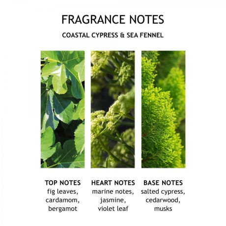 Molton Brown Coastal Cypress & Sea Fennel Bath & Shower Gel