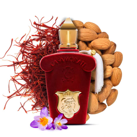 Xerjoff Casamorati Italica Sample