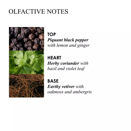 RE-CHARGE BLACK PEPPER 3 WICK CANDLE