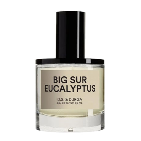 D.S & DURGA Big Sur Eucalyptus 50ml