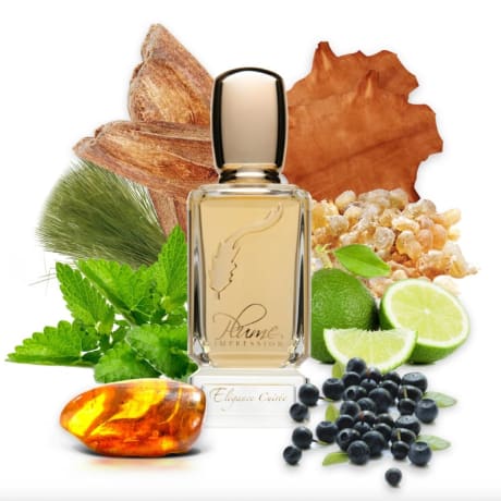 Plume Impression Elégance Cuirée EDP Nat. Spray Deluxe