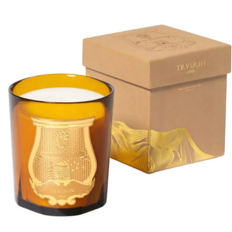 Trudon Doftljus Altair