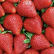Fraises