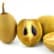 Sapodilla/Nesberry