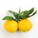 Yuzu