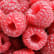 Framboise