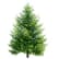 Sapin