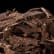 Oud/Agarwood