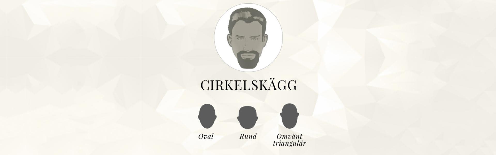 cirkelskagg_se