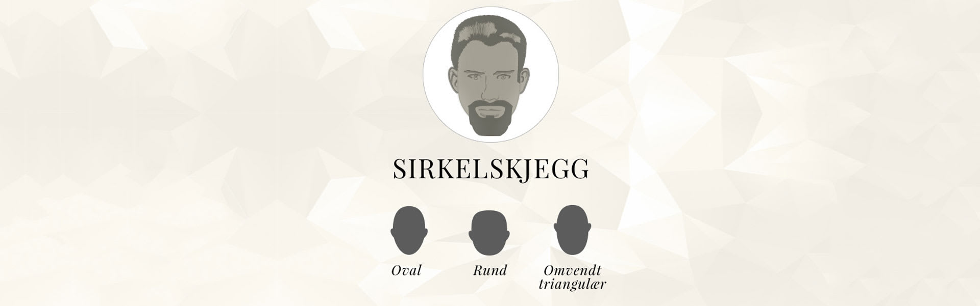 sirkelskjegg_no