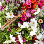 Blomsterduftnoter