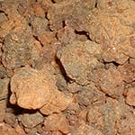 Myrrh