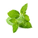 Peppermint
