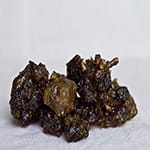 Opoponax