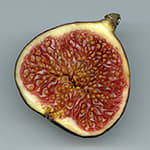 Fig