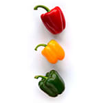 Paprika