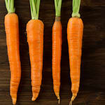 Carrot