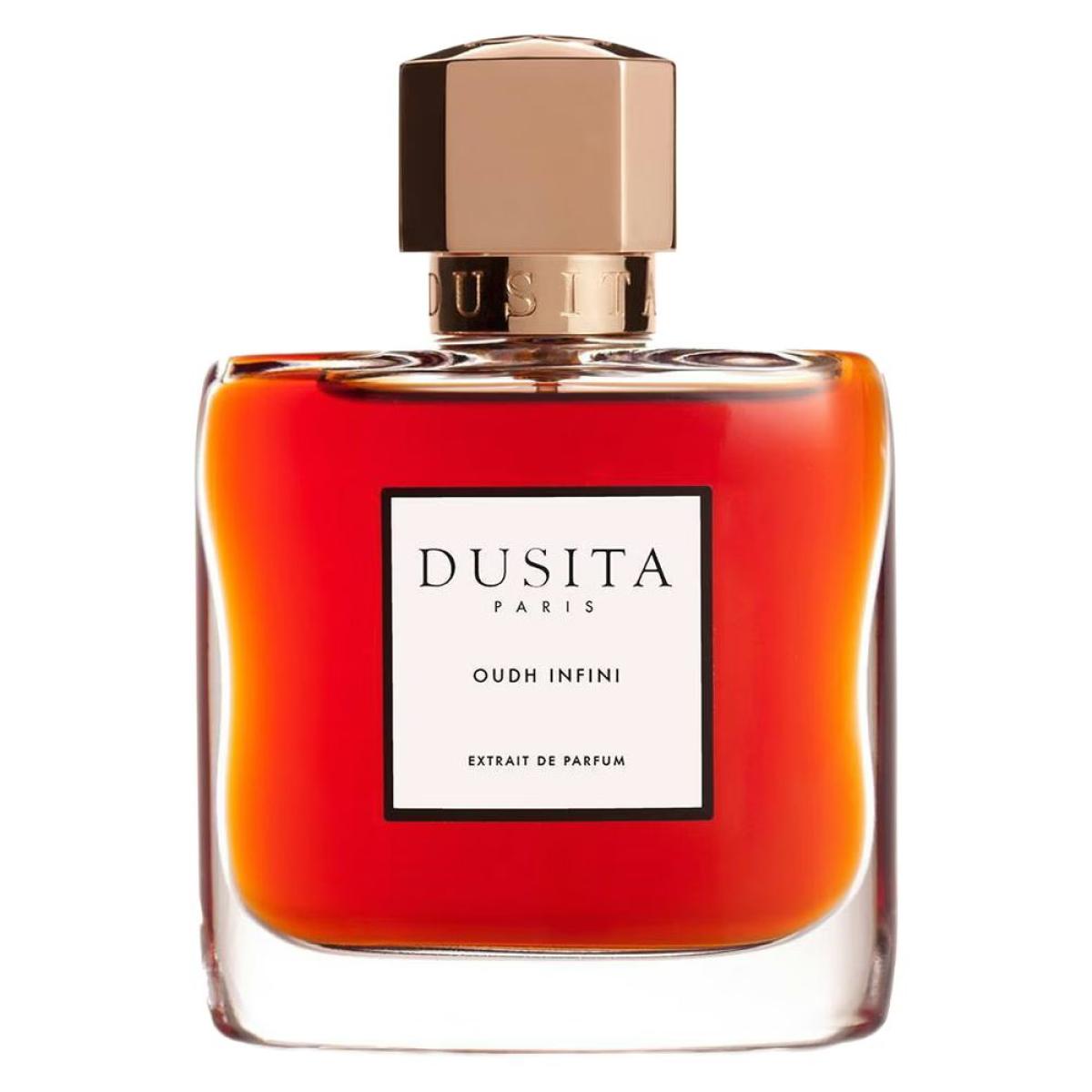 Oudh Infini Extrait de Parfum